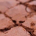 Air Fryer Bacon and Egg Cups