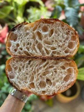 Sourdough Country Loaf