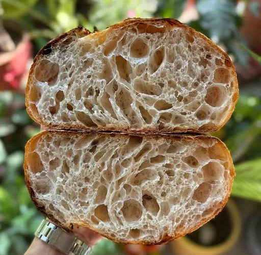 Sourdough Country Loaf