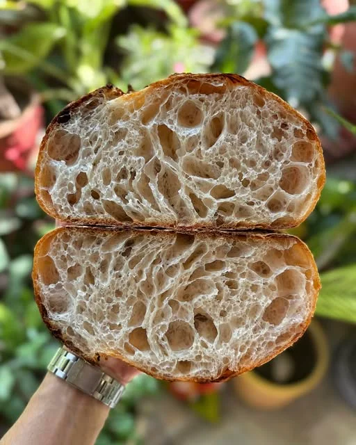 Sourdough Country Loaf