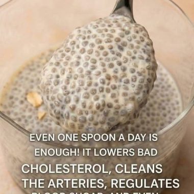 Creamy Keto Chia Pudding