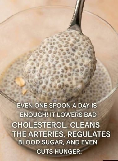 Creamy Keto Chia Pudding