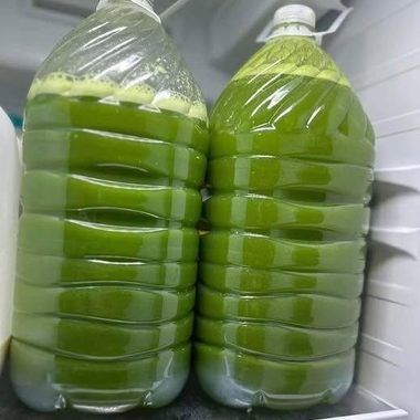 Simple Green Juice Recipe