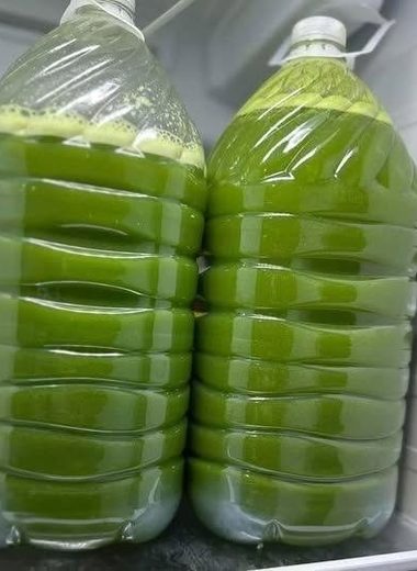 Simple Green Juice Recipe